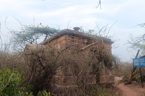 Delhi: Northern Ridge Walk with Tibetan Colony Tour