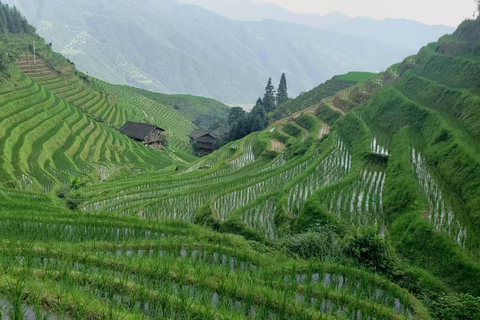 Longji Rice Terraces Private Tour