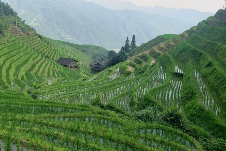 Longji Rice Terraces Private Tour