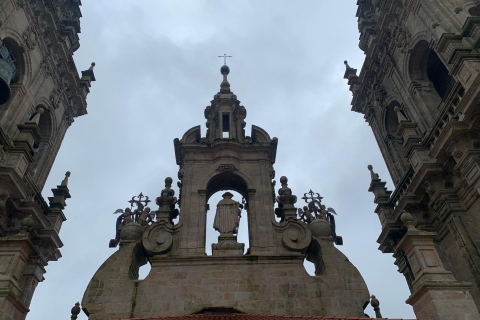 Visita Catedral de Santiago con cubiertas y Pórtico de la GloriaVisita Completa a la Catedral de Santiago