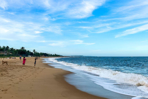 Kerala: Kochi, Munnar, Alleppey & Trivandrum Multi-Day Tour From Kochi: 7 Days Private Tour (All Inclusive)