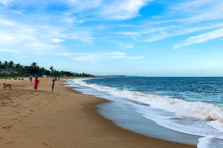 Kerala: Kochi, Munnar, Alleppey & Trivandrum Multi-Day Tour From Kochi: 7 Days Private Tour (All Inclusive)