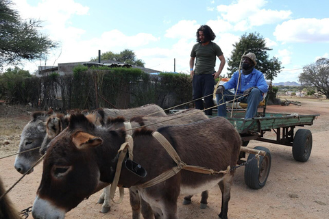 Gaborone: tour cultural de día completo y pinturas rupestres de Manyana