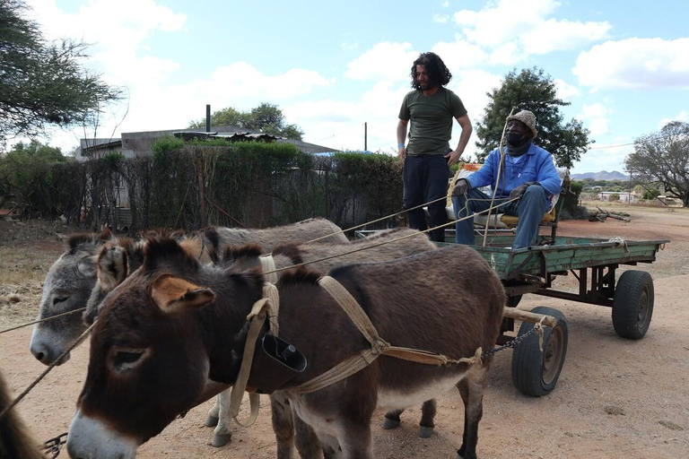 Gaborone: tour cultural de día completo y pinturas rupestres de Manyana