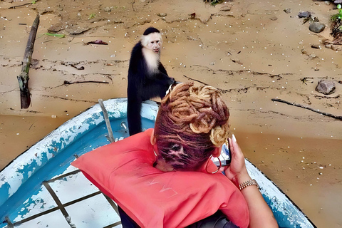 Feed Wild Monkeys on Panama Canal at Monkey Island Adventure No Hotel Pickup