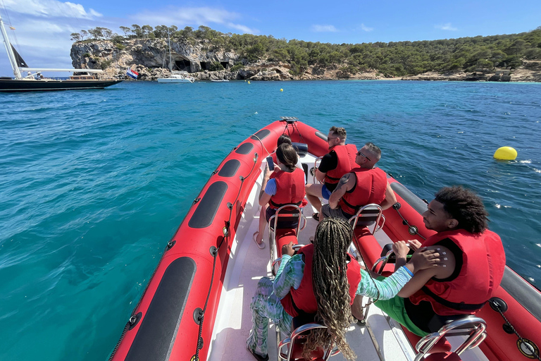 Palma di Maiorca: tour panoramico in motoscafo con pickupSedili standard