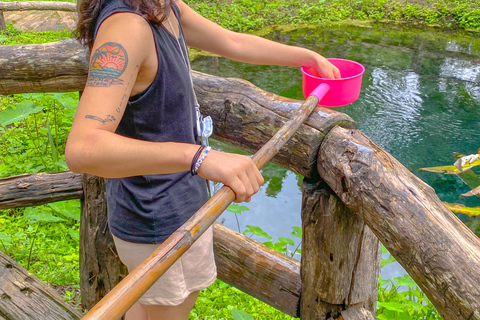 Chiang Mai: The Original Sticky Waterfalls & Thai Cooking