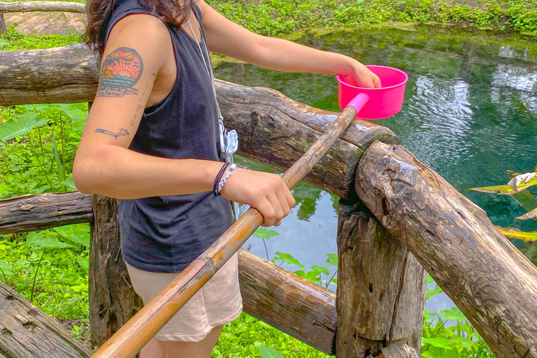 Chiang Mai: The Original Sticky Waterfalls & Thai Cooking