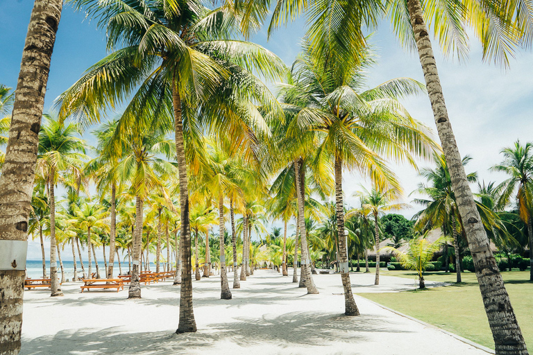 Vanuit Cebu: dagtrip naar Bohol hoogtepunten