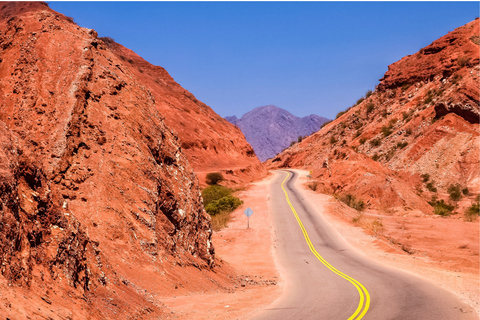 From Salta: Cafayate Full-Day Tour with Wine Tasting