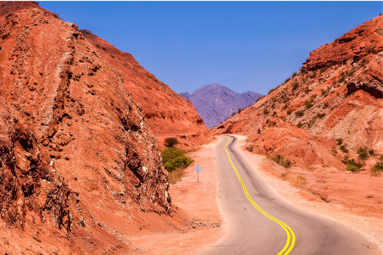 From Salta: Cafayate Full-Day Tour with Wine Tasting