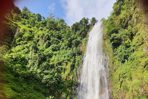 Moshi: Materuni Waterfall and Coffee Tour with Lunch