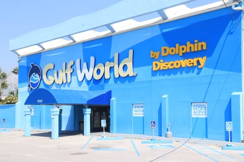 Panama City Beach: Gulf World Marine Park Entry Ticket