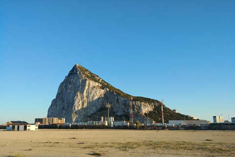 From Jerez: Gibraltar Dolphin Watching Tour with Free Time