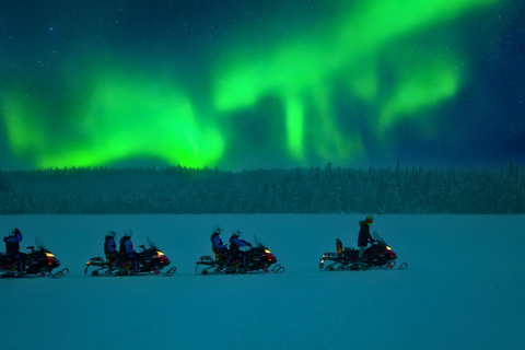 Rovaniemi: Drive New 2025 Snowmobiles - Aurora Adventure