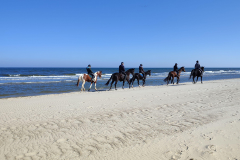 Fort Bragg: Coastal Horseback Ride on Ten Mile Beach