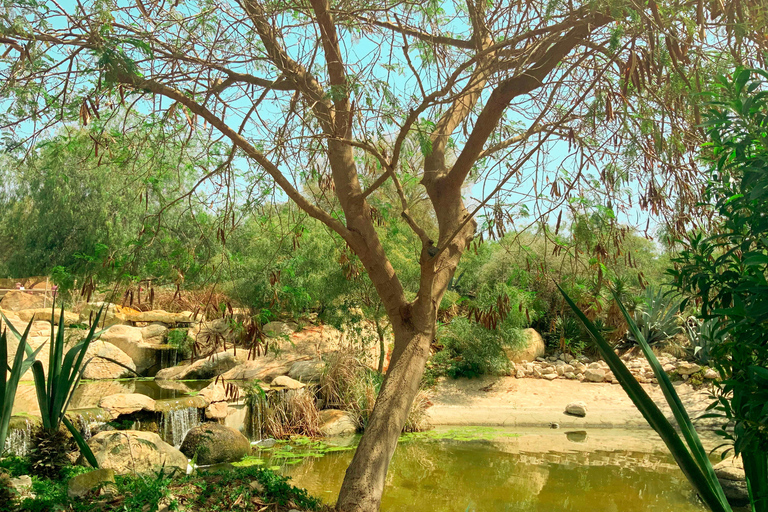 Tunesië: Friguia Park GezinsarrangementTunesië: Friguia Park ophaalservice vanuit Mahdia / Hammamet