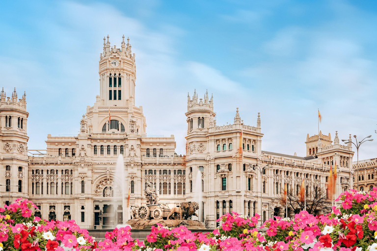 Madrid: Toledo & Madrid Small Group Tour with Hotel Pickup Tour en Español