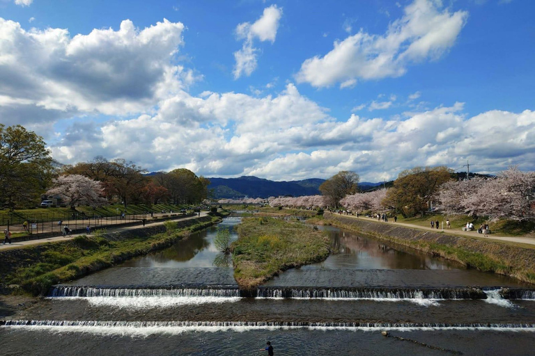 Tokyo: Mt. Fuji & Gotemba Premium Outlets Private Day Tour