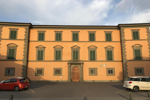 Pisa: Beyond the Tower Round-trip Golf Cart Tour Pisa: Beyond the Tower (1h round-trip tour)