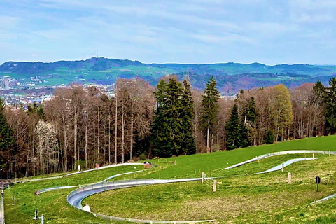GurtenPark–Bern: 360° Viewpoint, Toboggan Run, and Cheese Picnic Gurten Park – Bern: Small Group Tour