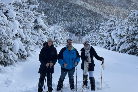 Shikotsu-Toya National Park: Guided Snowshoe Hike and Onsen Shikotsu-Toya National Park: Guided Snowshoe Hike and Onsen.