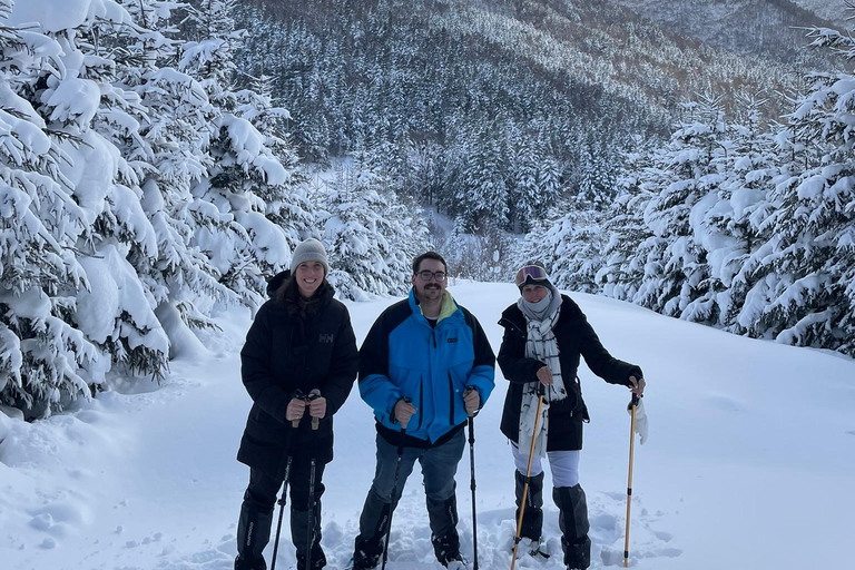 Shikotsu-Toya National Park: Guided Snowshoe Hike and Onsen Shikotsu-Toya National Park: Guided Snowshoe Hike and Onsen.