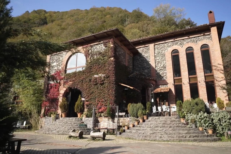 Adjara: Vineyard Tour with Wine Tasting and Lunch