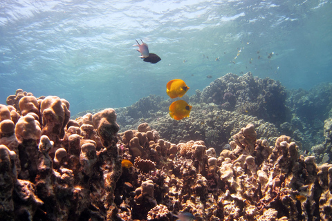 Sharm El-Sheikh: Desert & Waves Adventure / Lunch Option 2 : ( 1 x DBL Parasailing + Banana + Tube )
