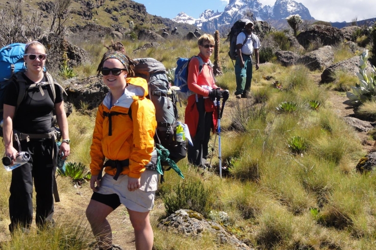 6 jours d'ascension du Kilimandjaro - Route de Machame