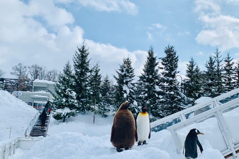 Partida de Sapporo: Visita de 1 dia ao Zoo de Asahiyama no invernoPartida da Torre de TV de Sapporo Incluindo almoço