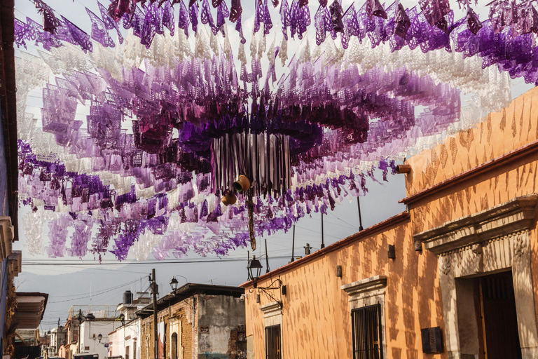 Tour histórico particular em Oaxaca - Melhor avaliação