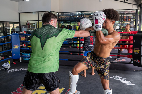 Chiang Mai: Boxing Muay Thai Class with Professional Trainer
