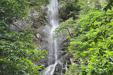 Private Ganztagestour von Batumi zu den Wasserfällen