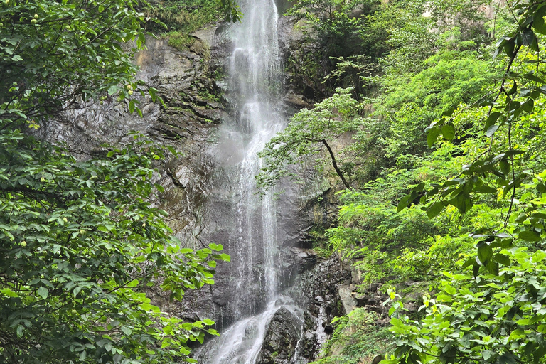 Tour privato di un giorno intero da Batumi alle cascate