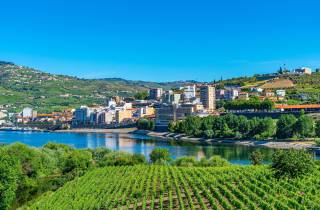 Von Porto aus: Ganztagestour durch das Douro-Tal