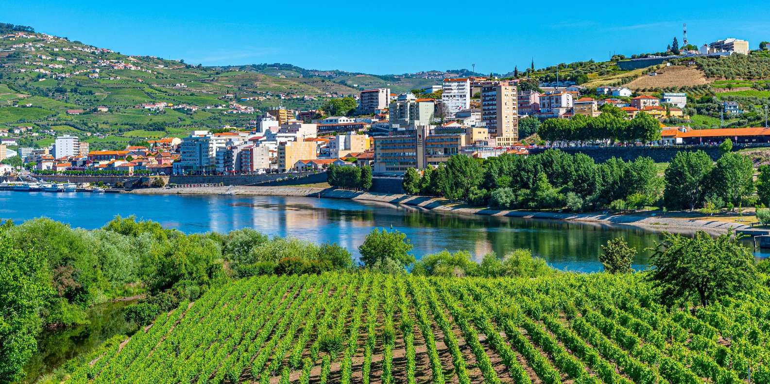 Porto: Douro Valley Tour with Lunch, Boat Cruise & Tastings — gallery image 2