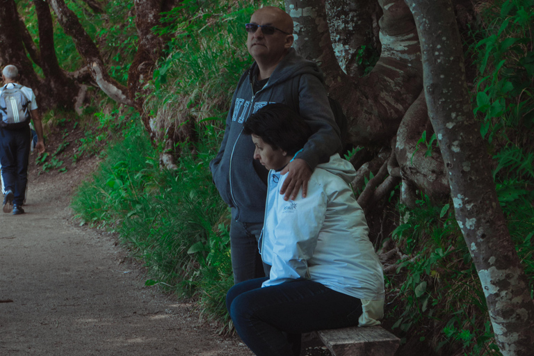 Zadar : Visite guidée des lacs de Plitvice avec billets