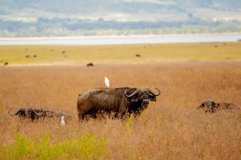 4-Day Fly-in Zanzibar & Fly-out Arusha Bush to Beach Safari