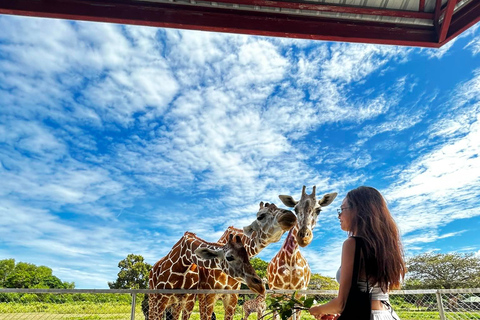 Coron: Calauit Safari Adventure