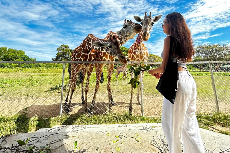 Coron: Calauit Safari Adventure