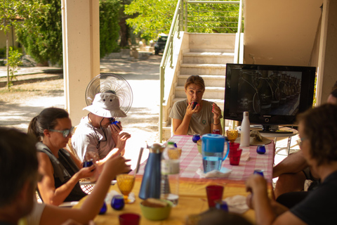 نافبليو: جولة وتذوق زيت الزيتونجولة وتذوق زيت الزيتون