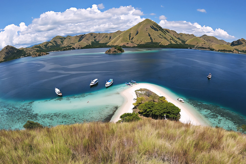 Komodo Speedboat Long Day Trip: 8 Highlights in One Day