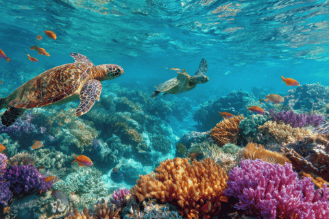 Isla Saona: Punta Cana All-inclusive