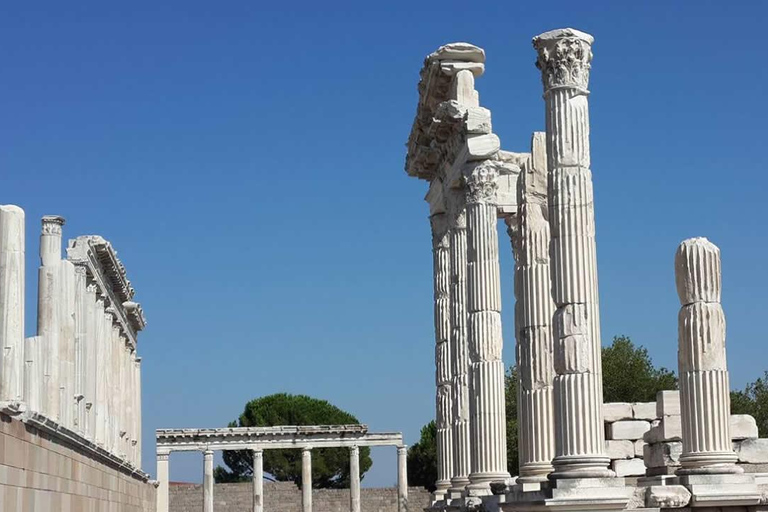 Ephesus TempleofArtemis&amp;House of Mary Private Half Day Tour