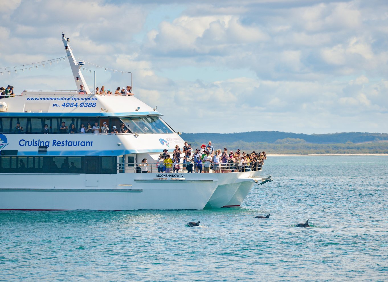 Port Stephens: Krydstogt med delfiner
