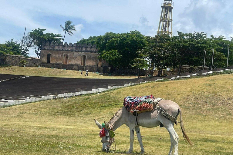 Puerto Plata: ATV Adventure, Historic Center, and Local Traditions