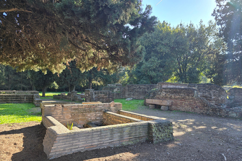 Rome:Ostia Antica Skip-the-line Ticket & Audioguide Skip-the-line Ticket with Audioguide