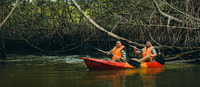 Tumbes, Santuario Nazionale di Mangrove - Hizvo