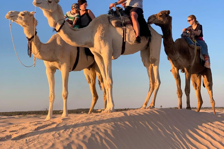 Djerba &Zarzis: Sahara Ksar Ghilane, Matmata & Sidi idriss